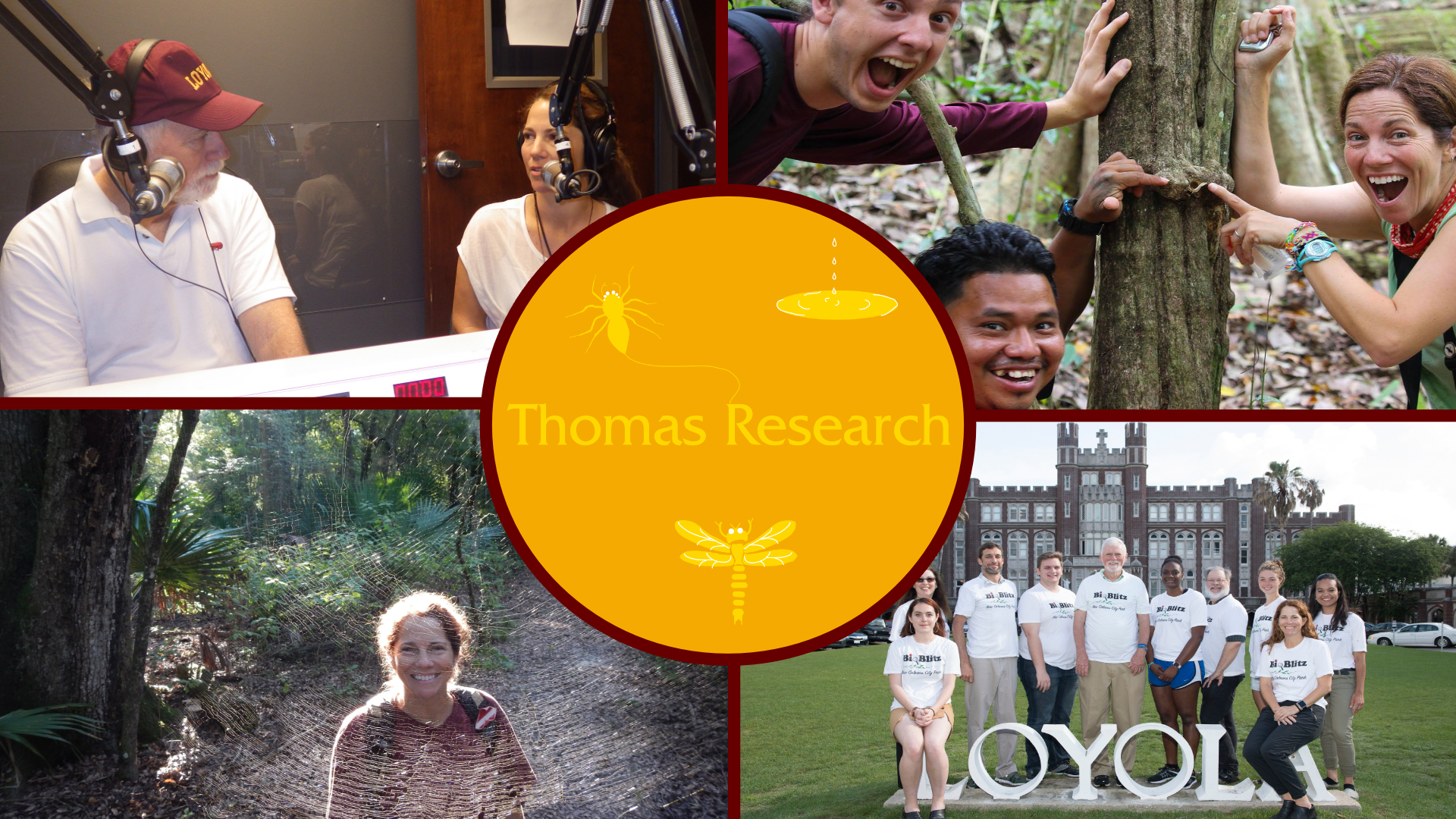 thomas collage